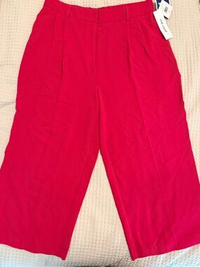 Wide-Leg Ankle Pants in Bright Pink